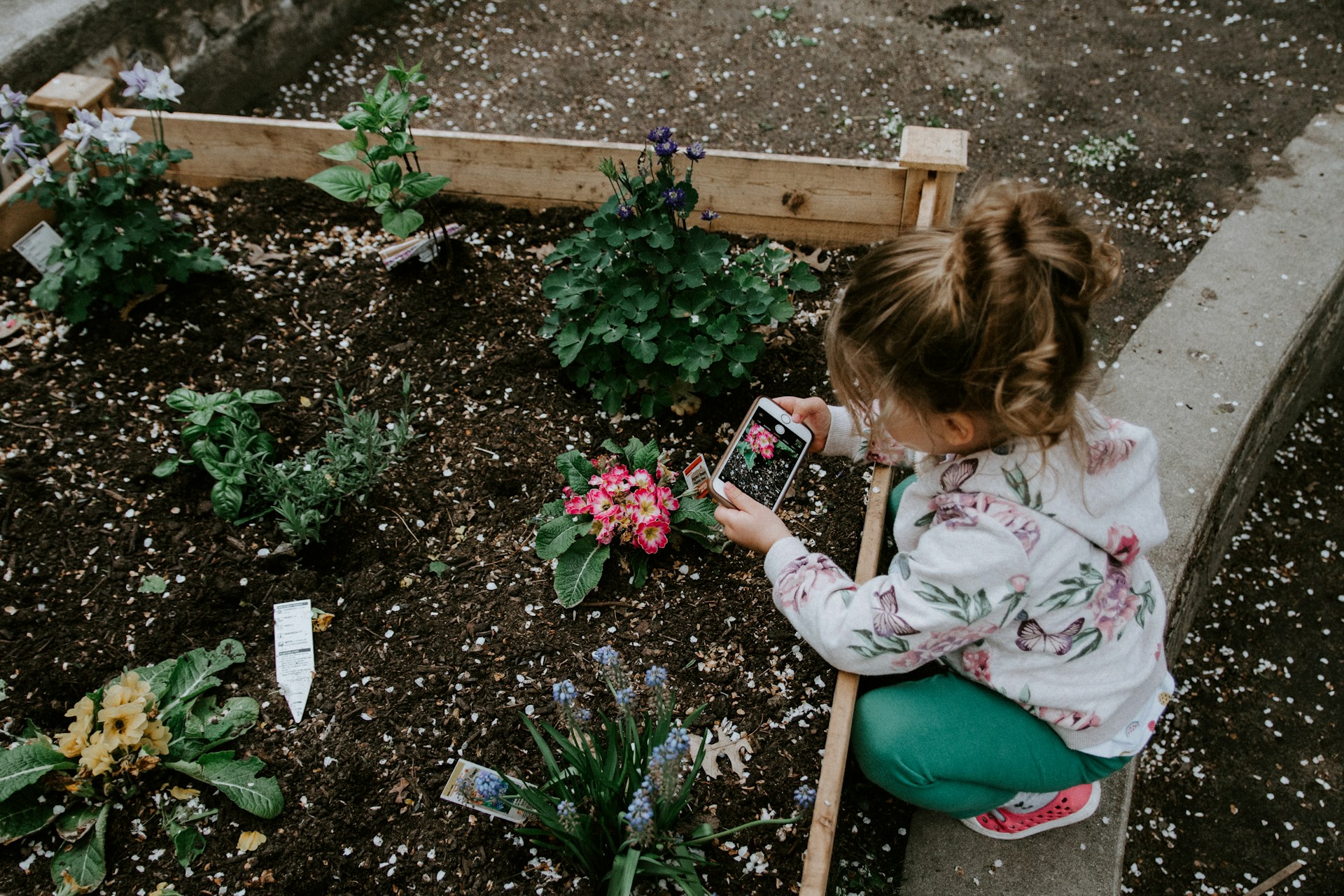 How to plant a garden gardening tips 1